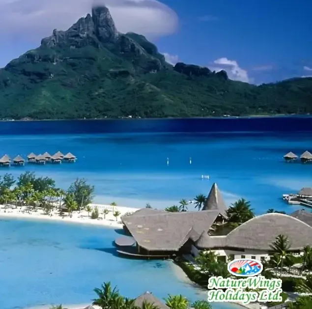 Andaman Package Tour from Kolkata for Honeymoon Couples