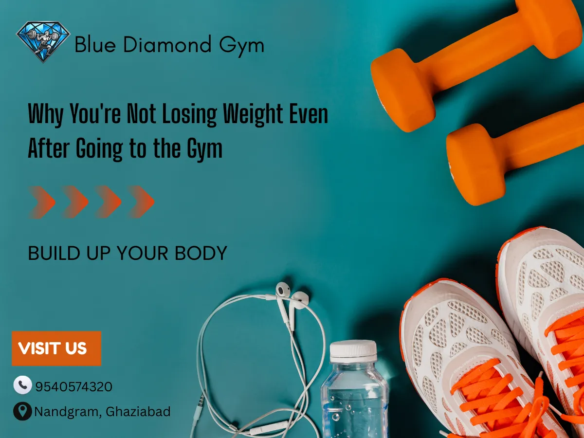 Why You're Not Losing Weight Even After Going to the Gym