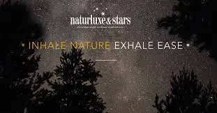 From Campfires to Comfort: Redefining Modern Nature Stays