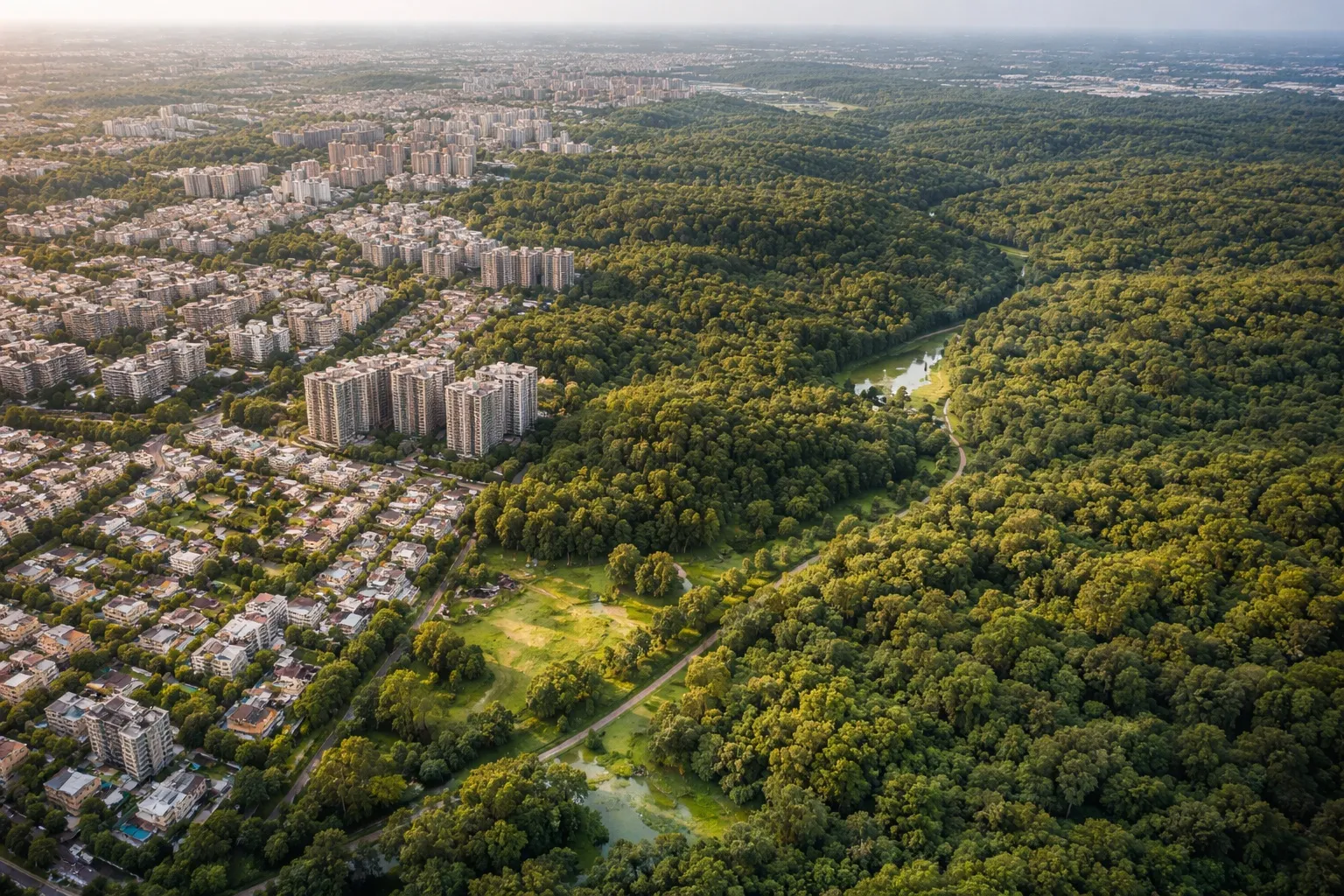 Forest Buffer Zones in Bangalore Insights for Land Investors