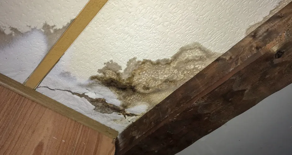 Toronto Flood Damage: Repairs, Mold and Renovations