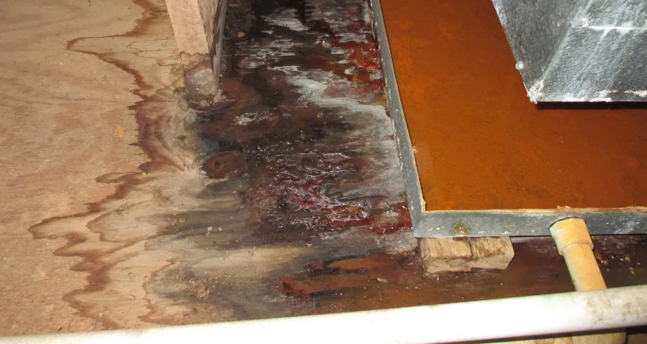 Water & Flood Damage: What Homeowners Need To Know