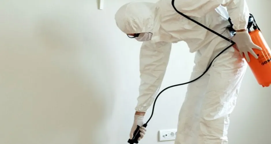 Mold Removal: Avoid Dealing with Hidden Home Damage