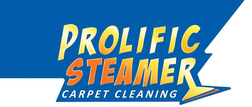 How Can Carpet Cleaning Silver Spring by Prolific Steamers Remove Trapped Dust From Carpets?