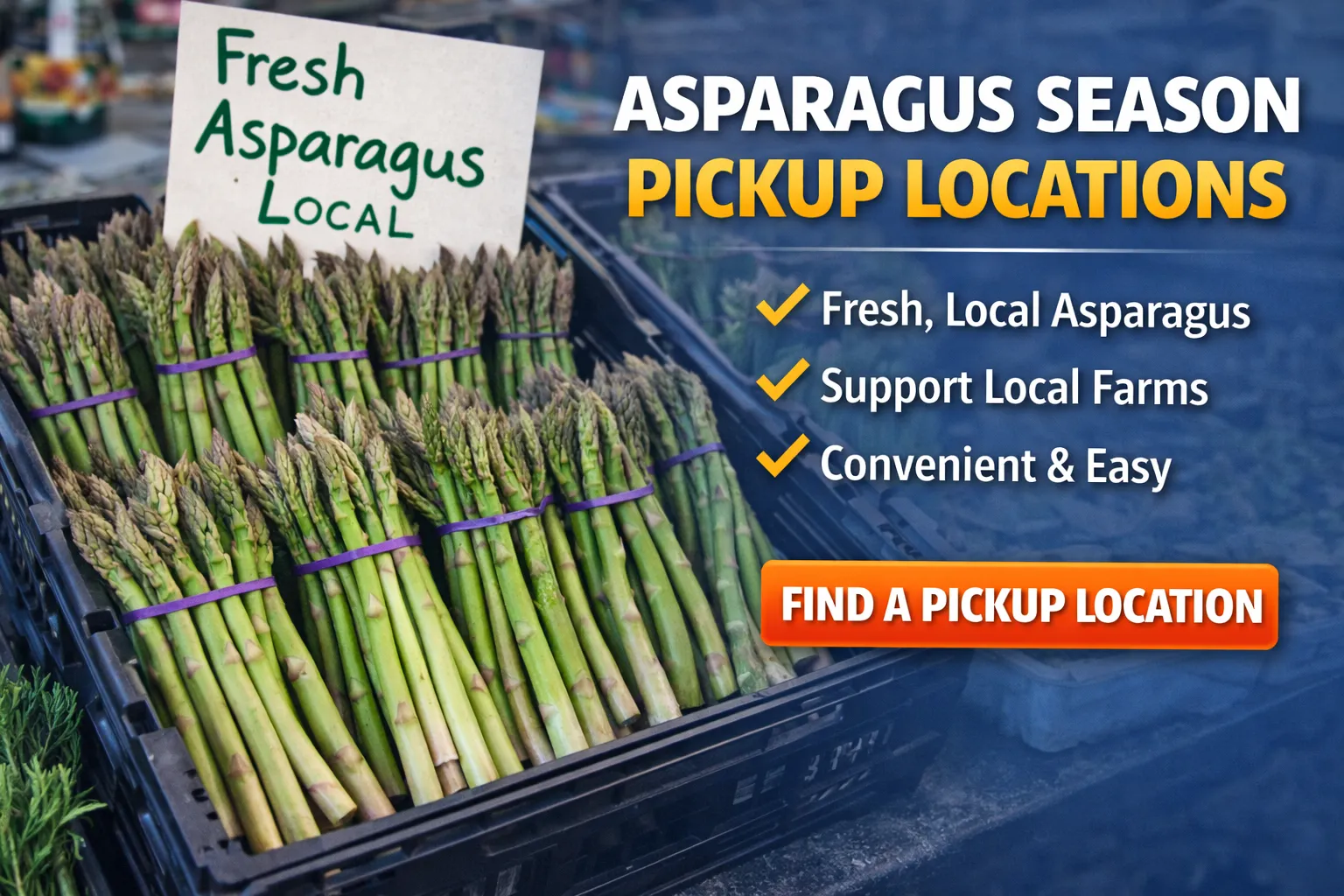 Fresh Asparagus Market Overview: Demand, Trends, and Opportunities