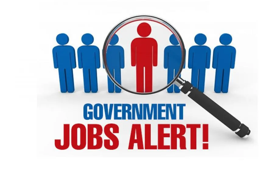 How do Leading Online Portals Help People with Career Guidance and Counseling?