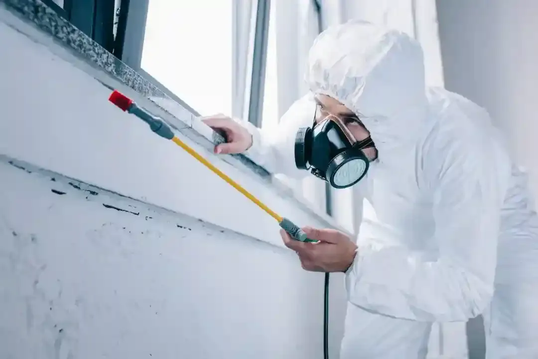 Who Is the Best Pest Control Company in Kolkata? A Complete Guide to Choosing the Right Service