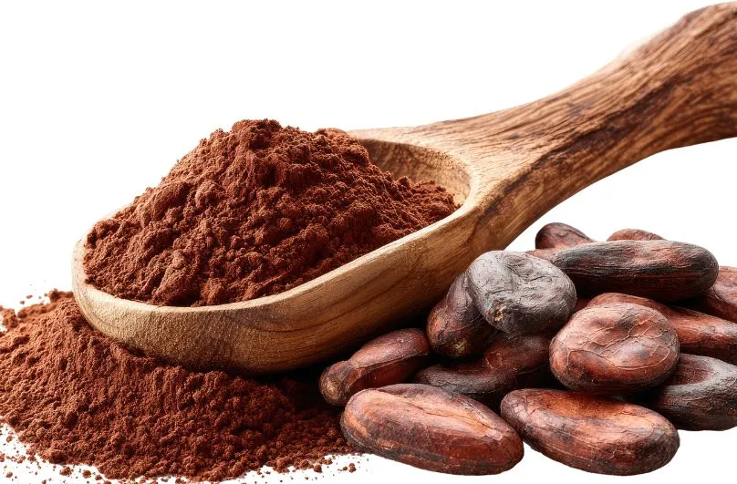 Buy Wholesale Protein Powder: Bulk Deals and Health Benefits