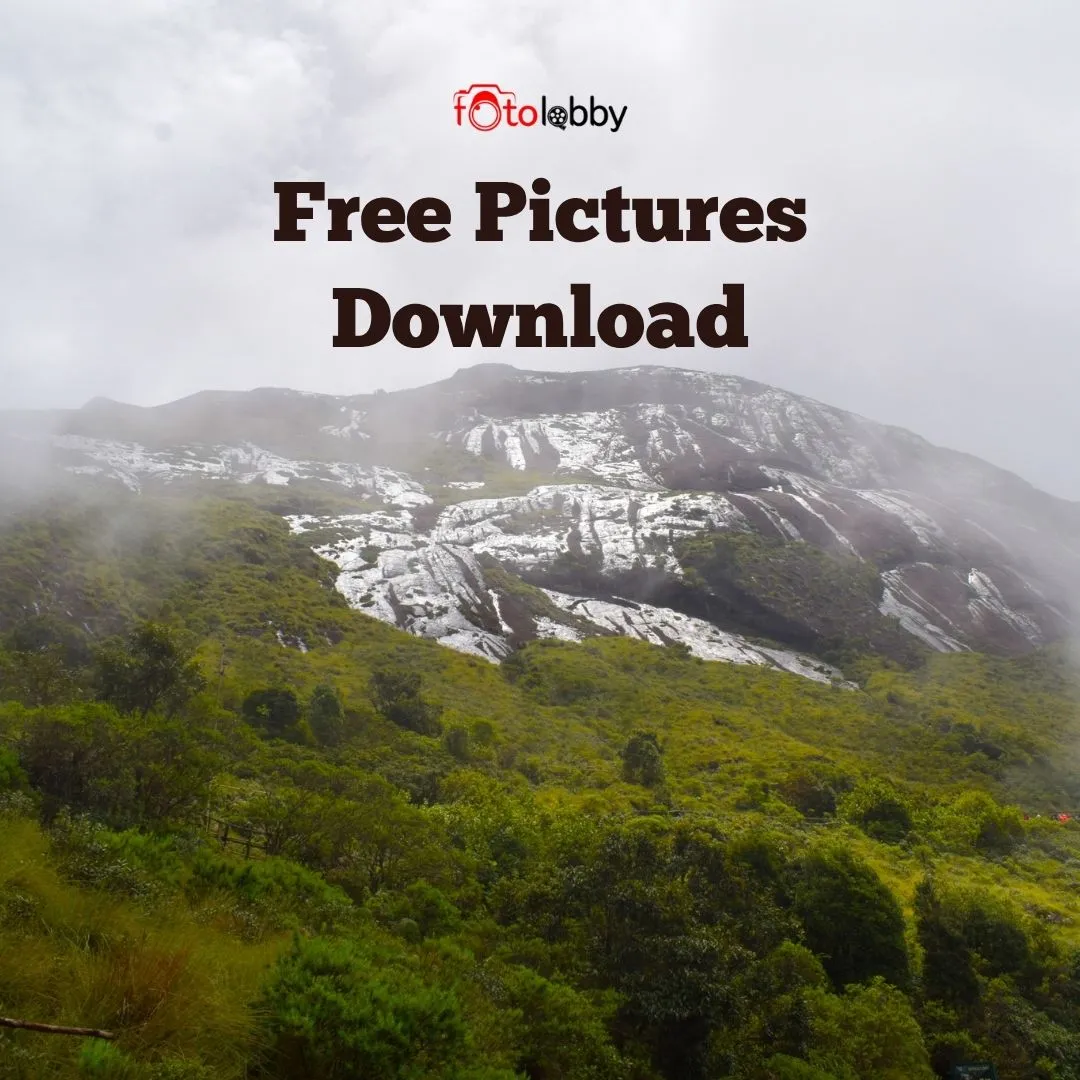 Free Pictures Download Guide for Beginners