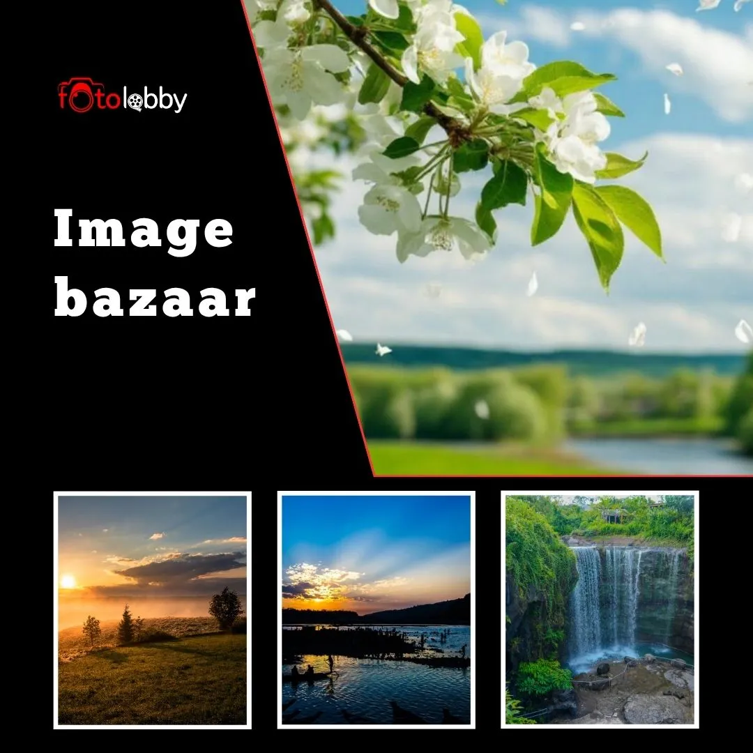 Image Bazaar: Best Platform for Unique Photos