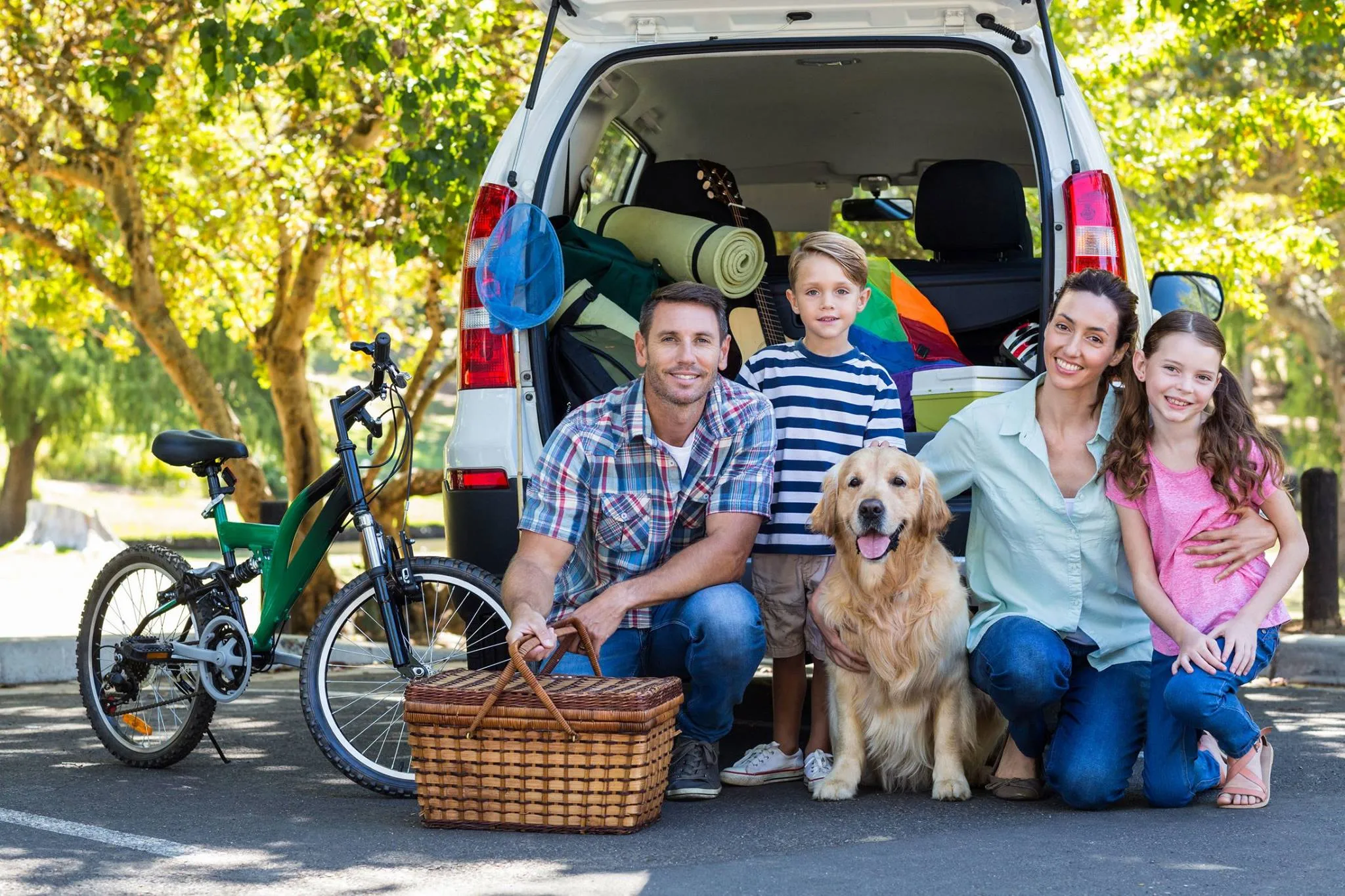 How to Find Affordable Yet Quality Pet Resort Options?