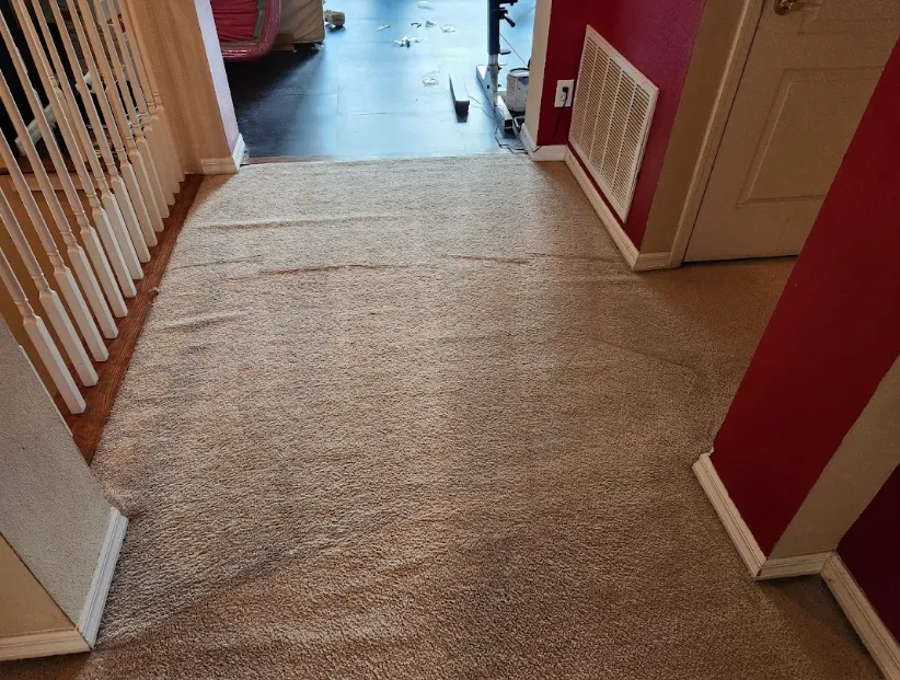 The Importance of Odor Treatment After Carpet Cleaning