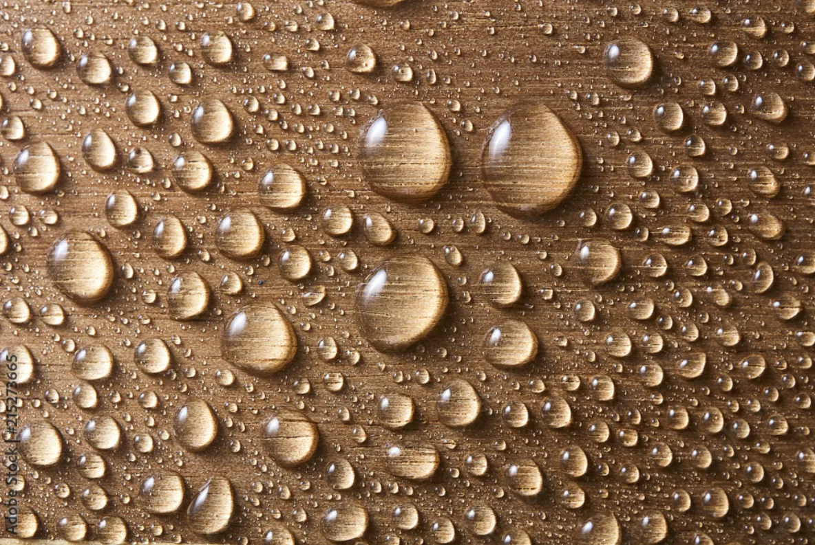 What Waterproof Plywood Actually Looks Like After 3 Years in an Indian Home