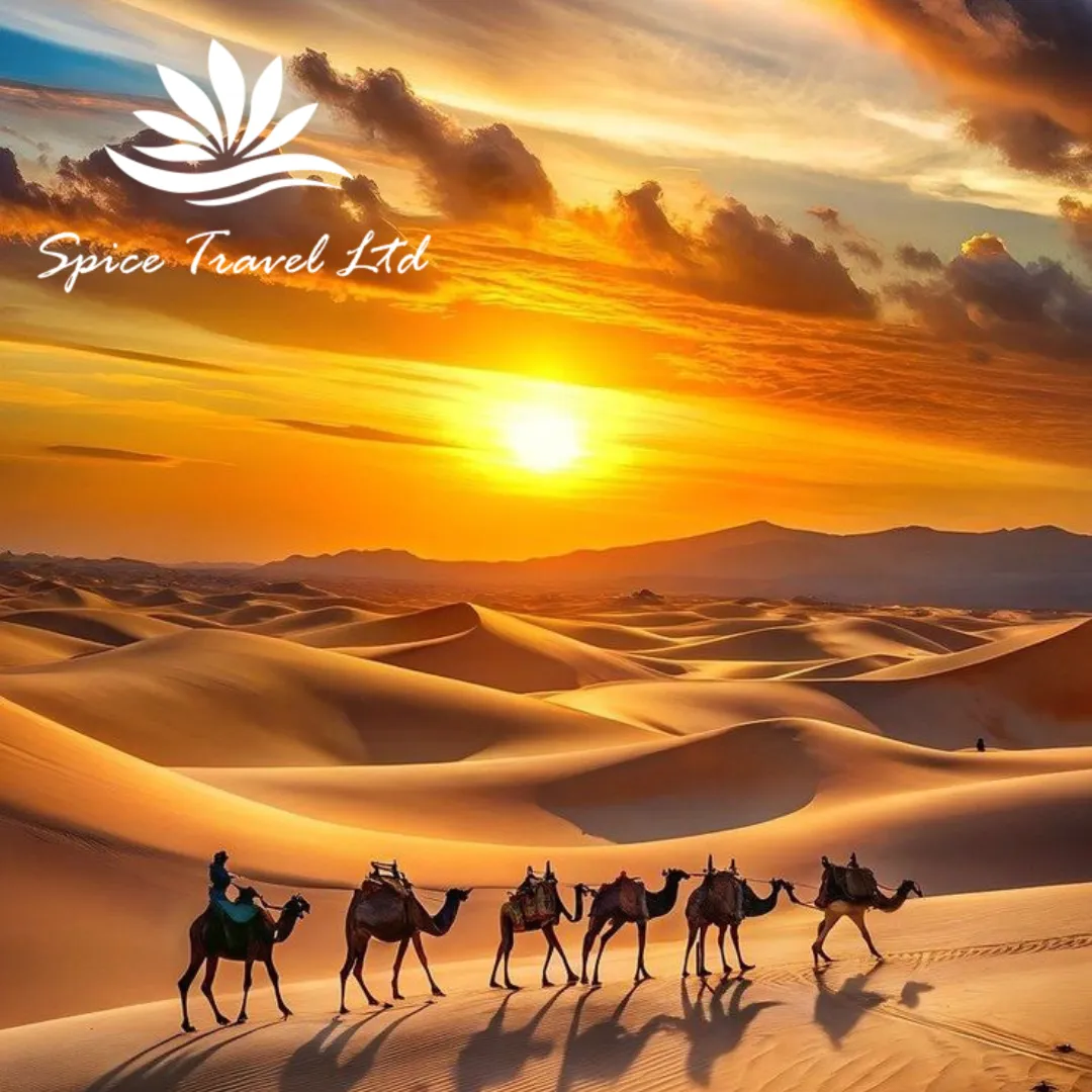 Kenya Calls — and the Best Travel Agencies in Nairobi Know Exactly How to Answer