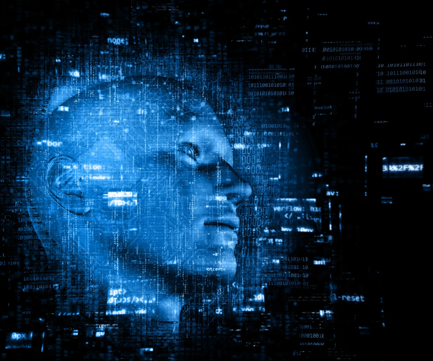 How Focused Digital Platforms Are Changing Online Engagement