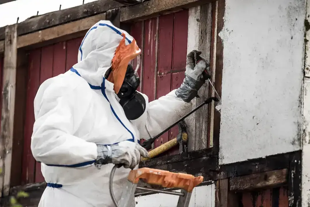 Why Hiring Certified Asbestos Removal Services Is Essential for Protecting Your Home, Family, and Workplace from Hidden Dangers