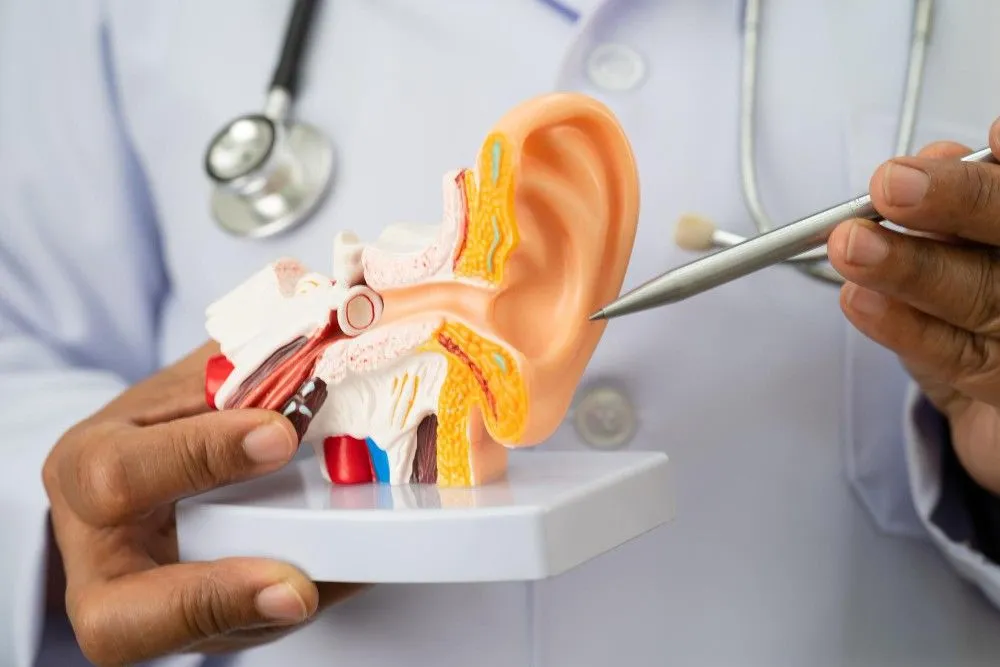Can Stress Affect Your Hearing? The Hidden Connection Explained