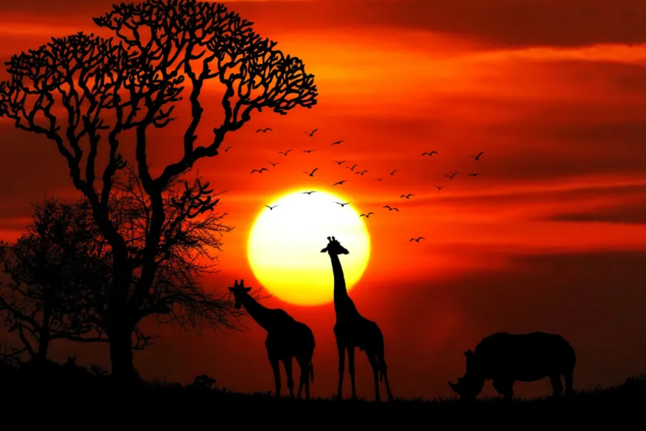 Why Africa Is Becoming the Top Destination for Kosher-Observant Travellers