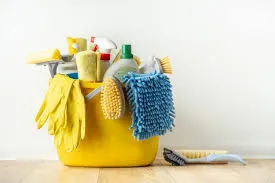 Trusted House Cleaning in Wheaton, Arlington Heights & Schaumburg, IL | Naturally Maid Cleaning Co