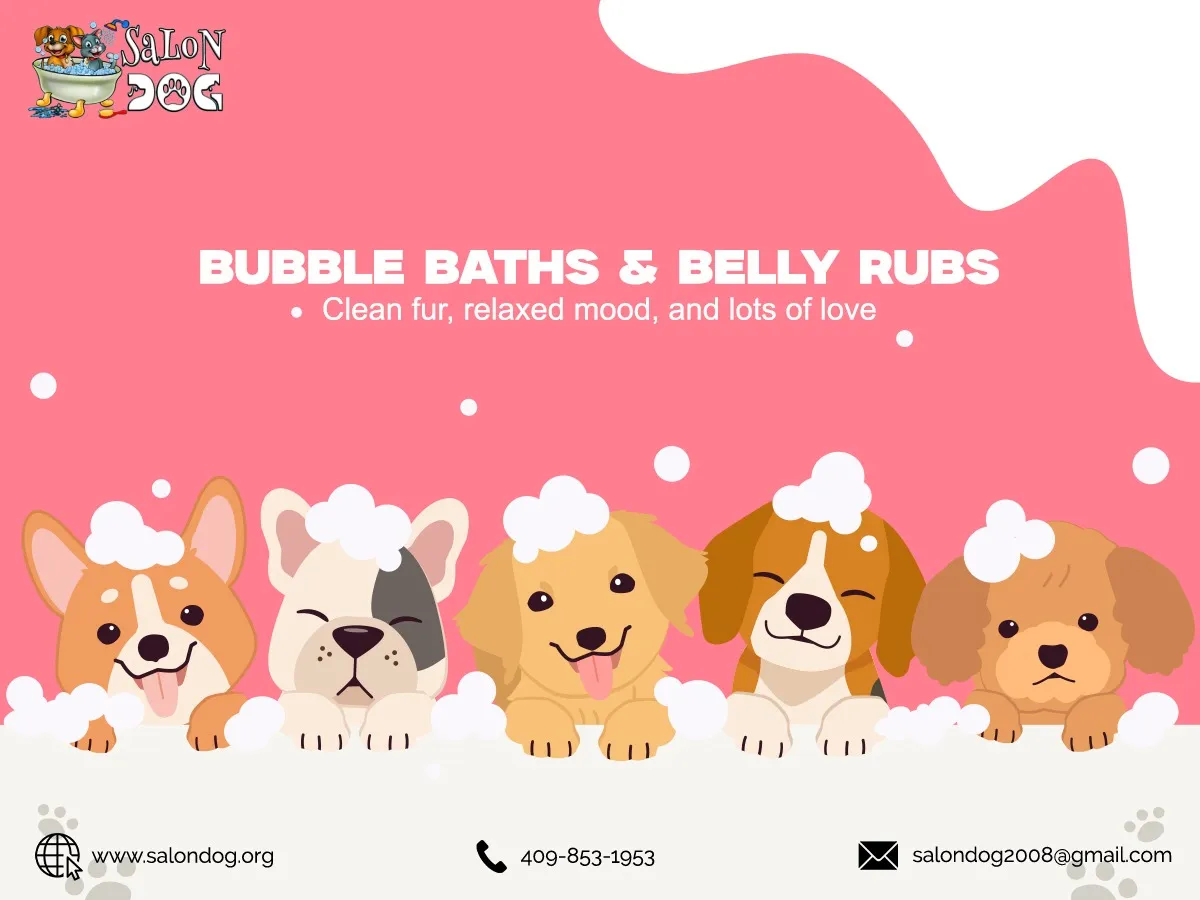 Professional Dog and Cat Grooming in Nederland, TX- Salon DOG