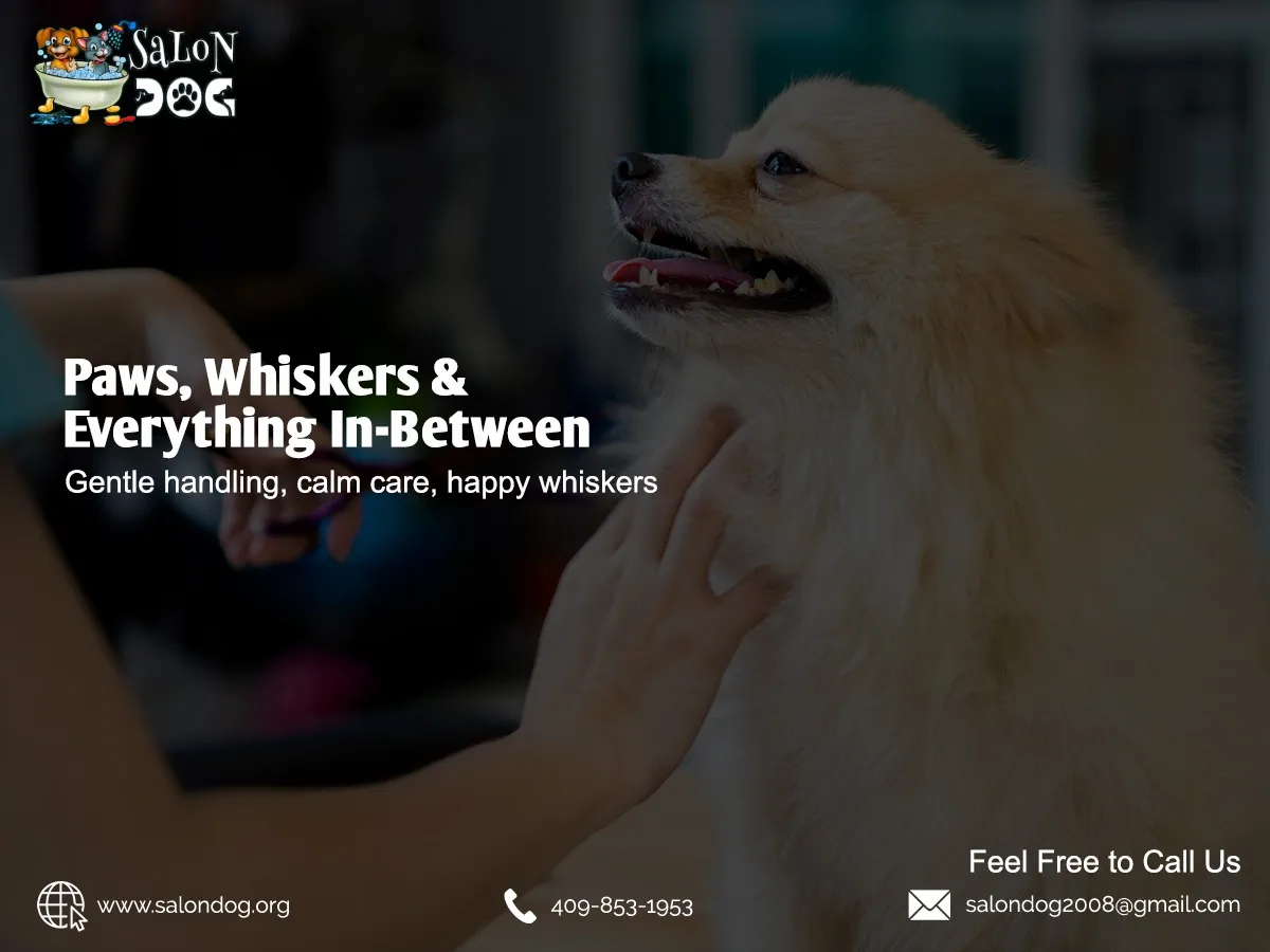 Professional Dog and Cat Grooming in Nederland, TX- Salon DOG
