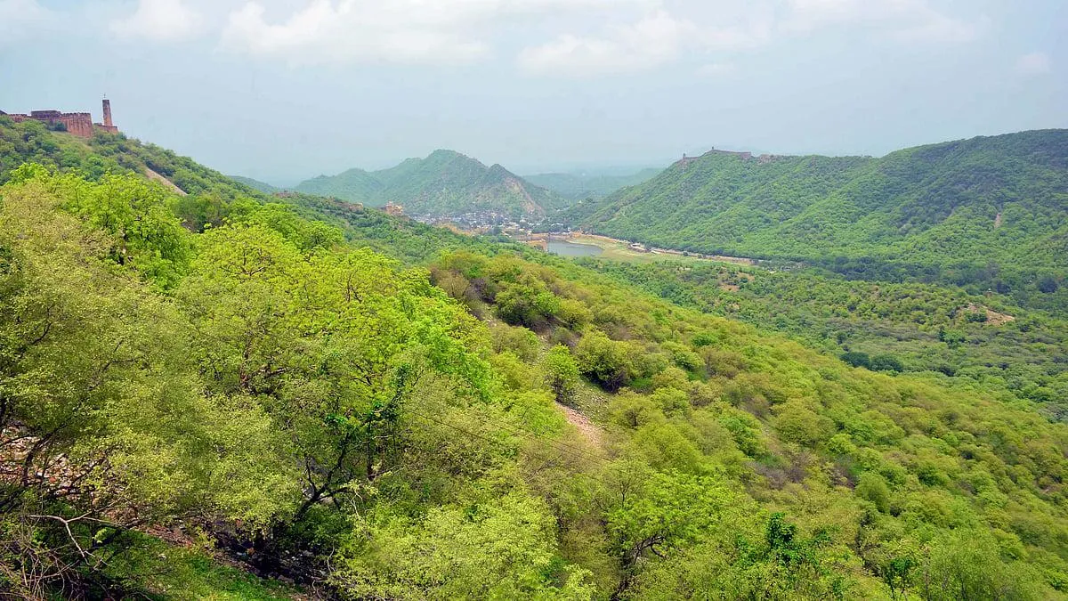 Top Jungle Safari Destinations in Rajasthan for Wildlife & Sunset Lovers