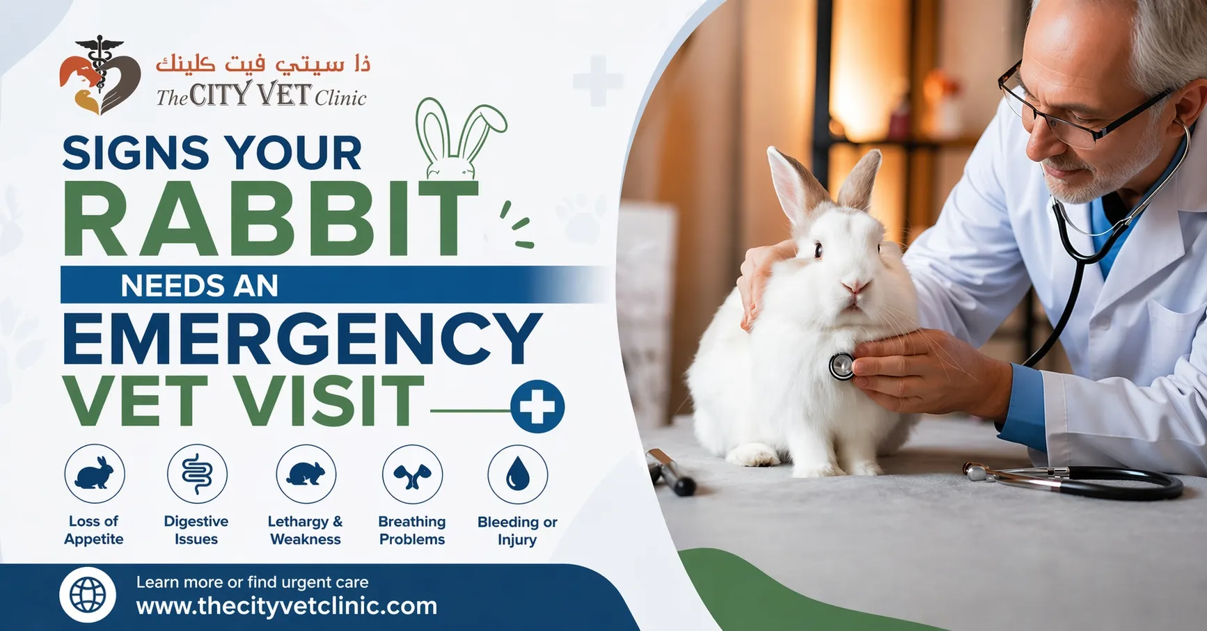 Signs Your Rabbit Needs an Emergency Vet Visit