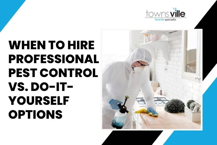 When to Hire Professional Pest Control VS. Do-It-Yourself Options