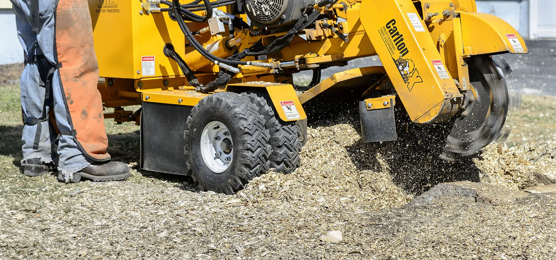 Transform Your Yard with Safe and Efficient Tree Stump Solutions