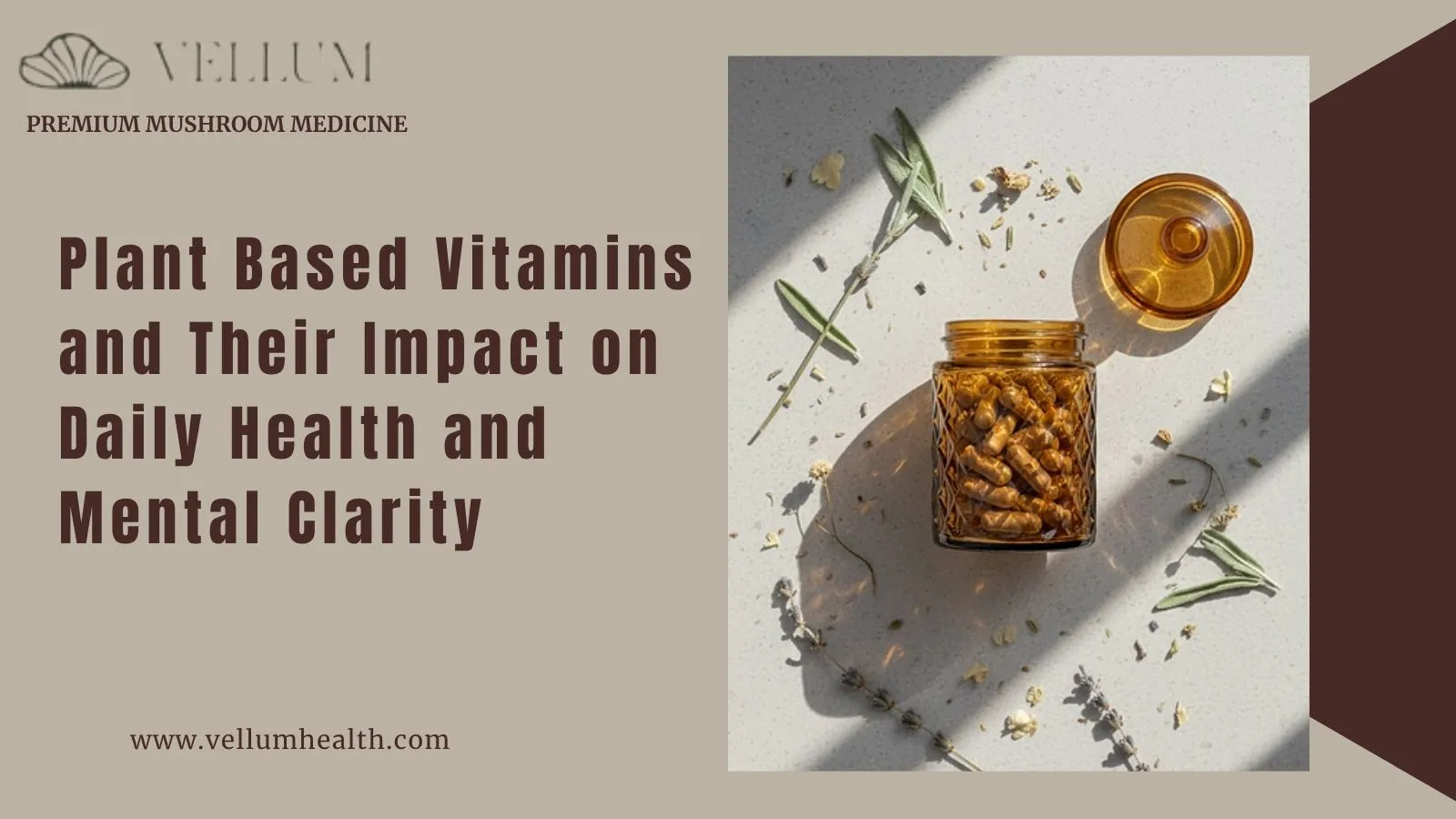 Plant Based Vitamins and Their Impact on Daily Health and Mental Clarity