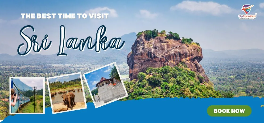 Best Time to Visit Sri Lanka for Beaches and Wildlife