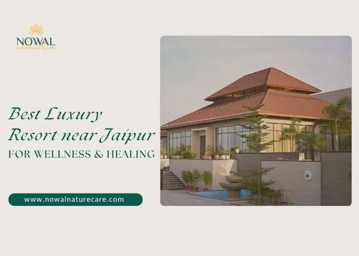 Best Luxury Resort for Wellness & Healing