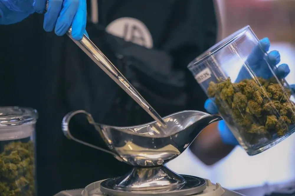 JARS Cannabis El Mirage