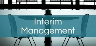 What is Interim Management