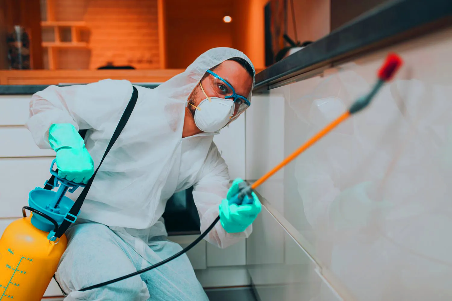 Pest Control Barrhaven: Protect Your Family and Property