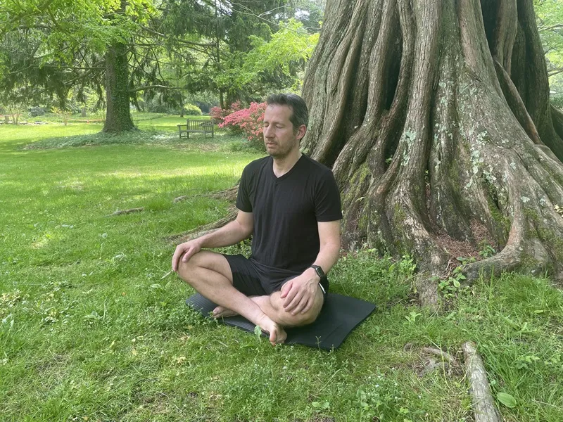 Daily Rituals for Metamorphosis: Personal Transformation Practices