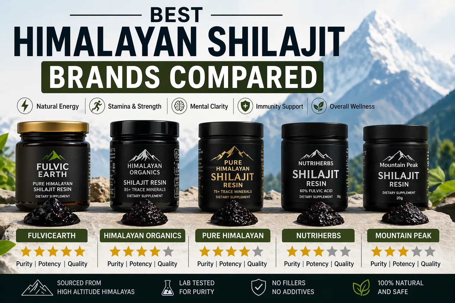 Best Himalayan Shilajit Brands Compared