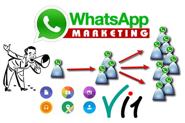 WhatsApp vs WhatsApp API: Features, Use Cases, and Benefits