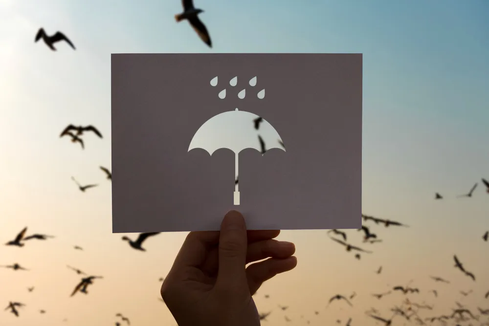 How Insurance Builds Patient Trust in Your Chiropractic Practice