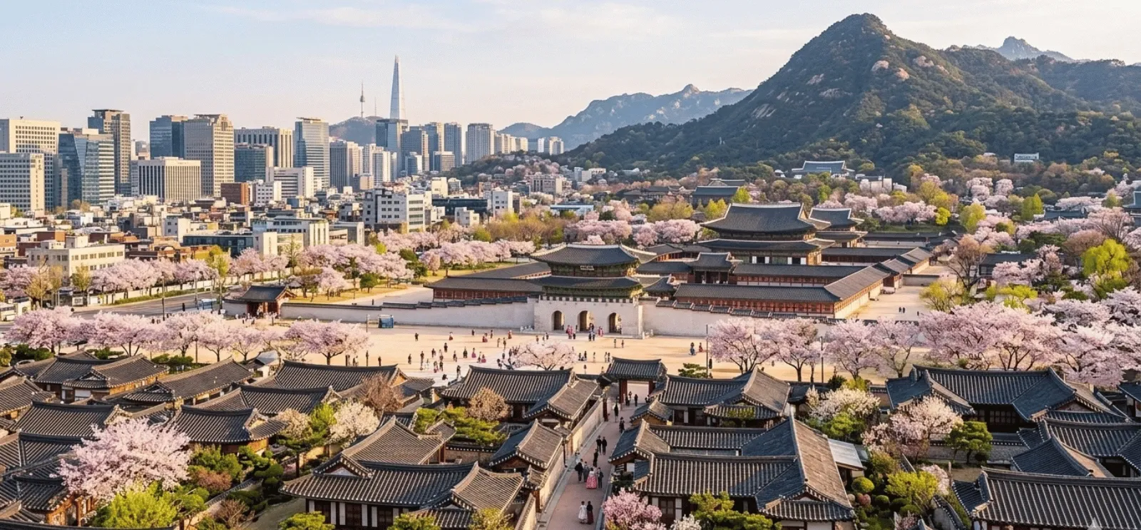 Discover South Korea: A Perfect Blend of Culture, Food, and Modern Experiences