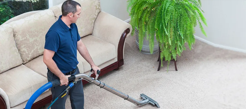 Why Professional Carpet Cleaning Services Improve Home Hygiene and Comfort