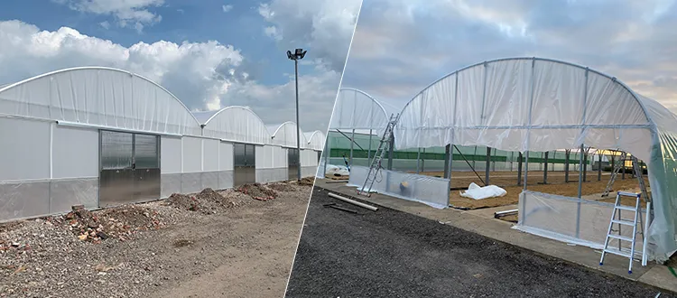 The Importance of Bespoke Multi-Span Polytunnels