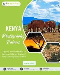 Kenya Photography Safaris Guide to Capturing the Big Five