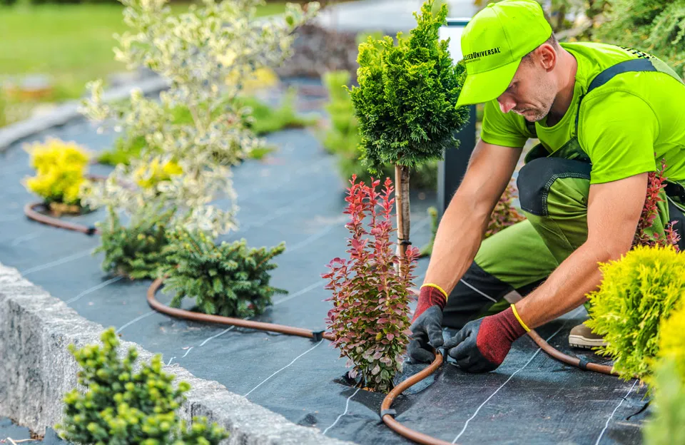A Guide to Landscaping and Hardscaping Services Near Me in Bladenboro, NC