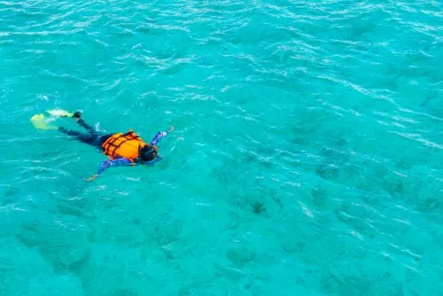 Explore the Hidden World: A Complete Beginner’s Guide to Scuba Diving in Andaman