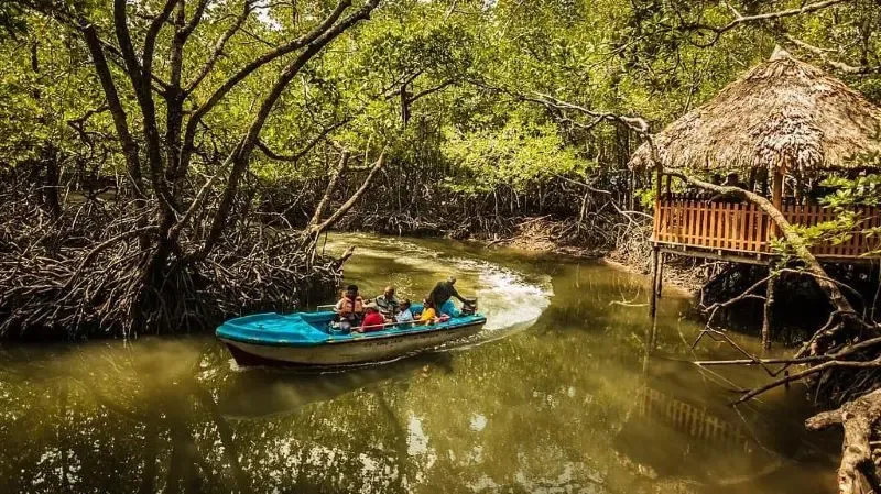 The Weight of the Tropics: Navigating Andaman Tour Packages from Bangalore