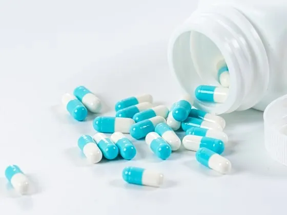 Papaverine Hydrochloride API Manufacturers: Industry Overview, Trends, and Insights