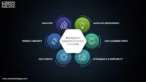 How Python Development Outsourcing Supports Faster Product Iteration Cycles