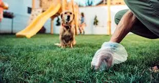 Reliable Dog Poop Scooper Dallas Services for a Cleaner and Healthier Yard