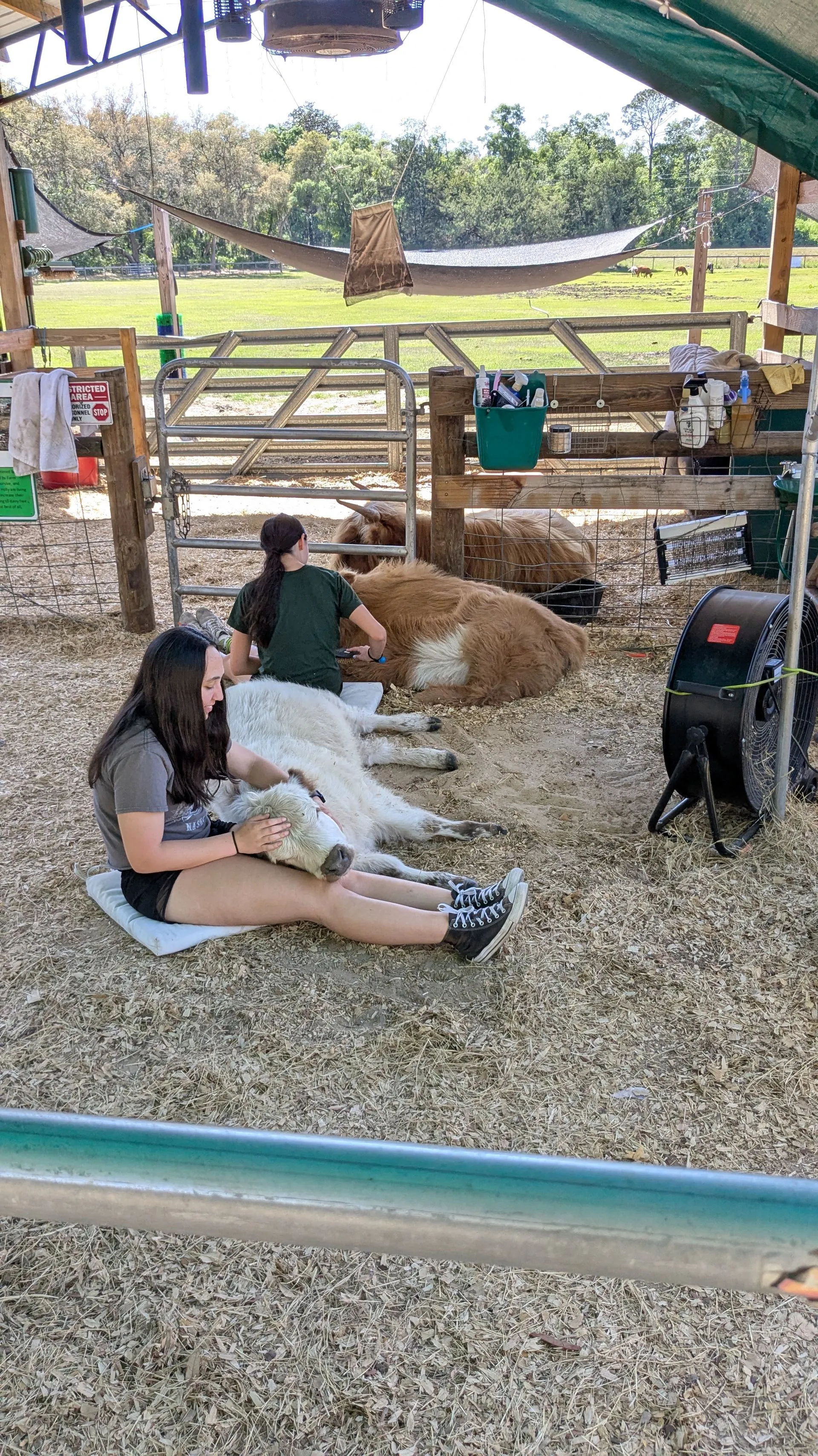 Authentic Farm Experience and Sustainable Living Insights
